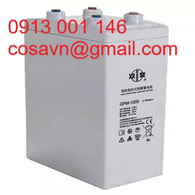 Tập đoàn Shuangdeng Co., Ltd. (còn được biết đến với tên Shoto) Ắc quy chì-axit điều chỉnh bằng van (VRLA) Shuangdeng GFM-1000 GFM-1000